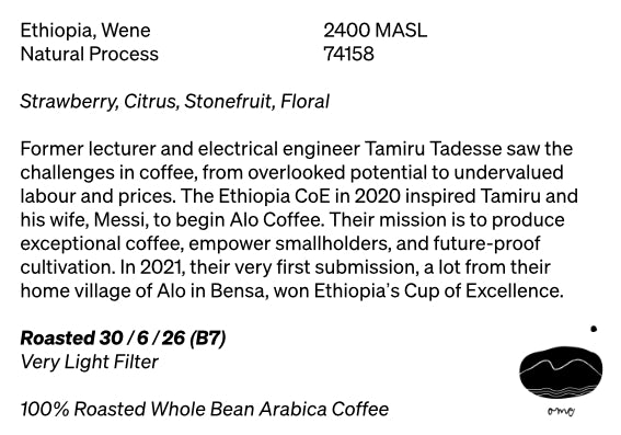 200g Wene Natural Filter— Alo Coffee