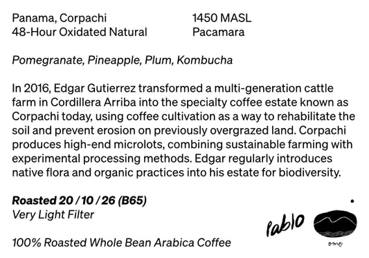80g Panama Corpachi Pacamara 48-Hour Oxidated Natural Very Light Filter, Ome Selects