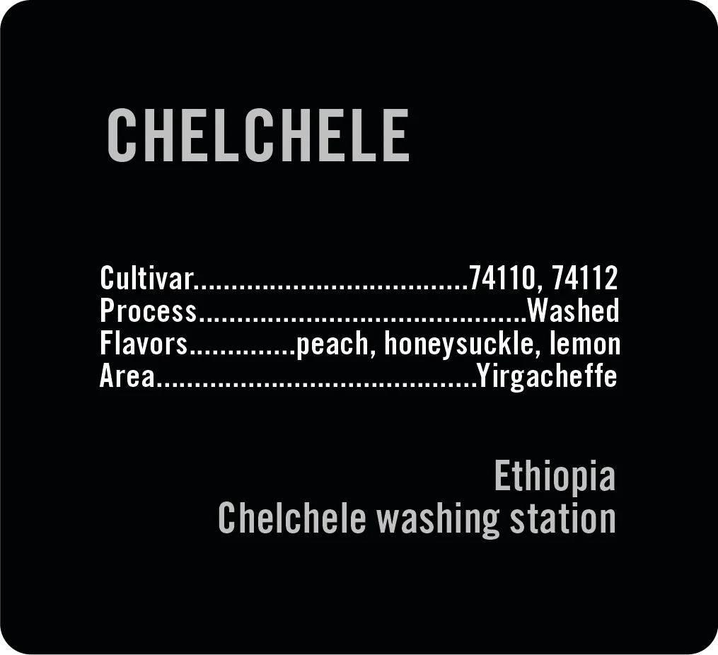 100g Ethiopia Chelchele Washed, Apollon's Gold