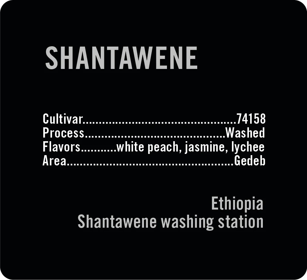 100g Ethiopia Shantawene Washed, Apollon's Gold
