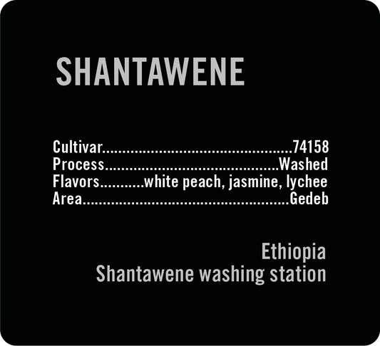 100g Ethiopia Shantawene Washed, Apollon's Gold