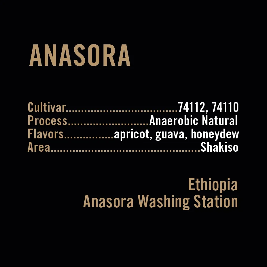 100g Ethiopia Anasora Anaerobic Natural, Apollon's Gold