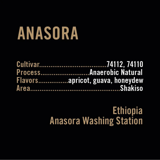 100g Ethiopia Anasora Anaerobic Natural, Apollon's Gold